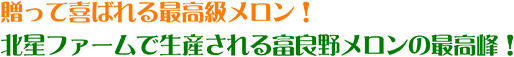 送って喜ばれる最高級メロン！北星ファームで生産される富良野メロンの最高峰！