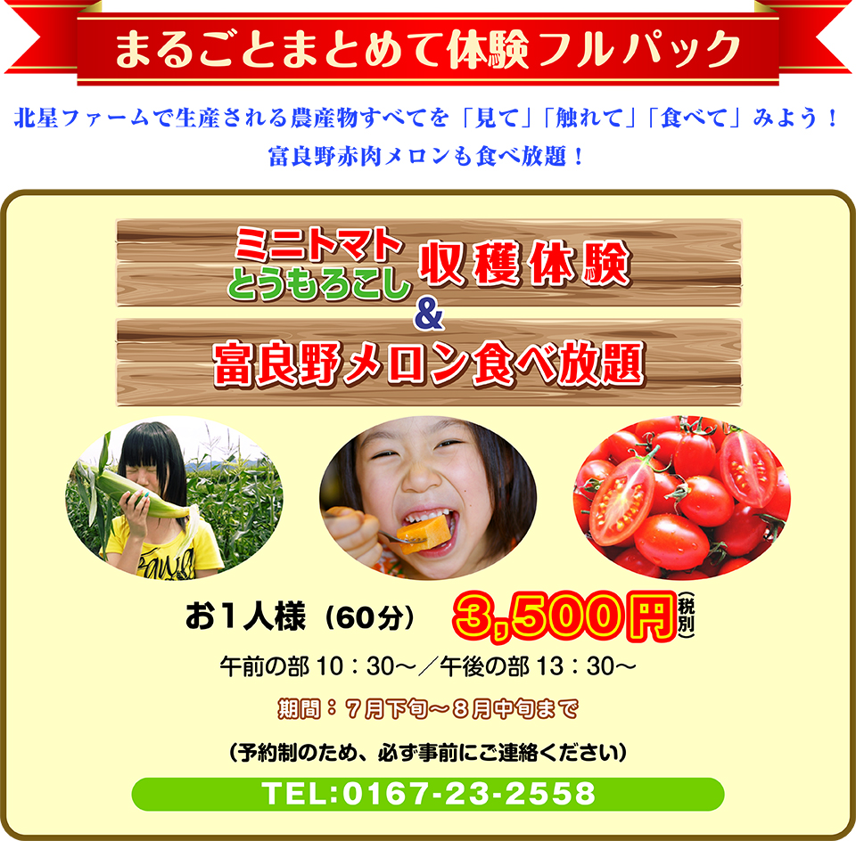 まるごとまとめて体験パック